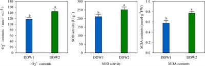 Proteomic and metabolomic insights into the impact of topping treatment on cigar tobacco